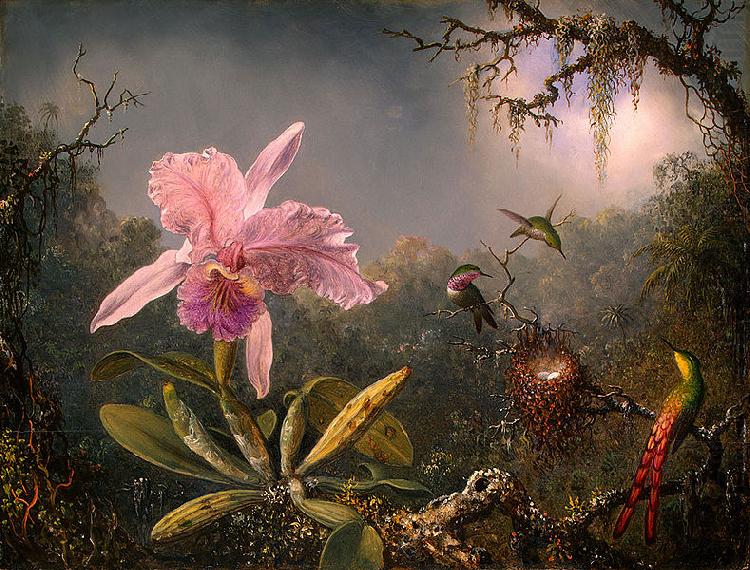 Cattleya Orchid and Three Brazilian Hummingbirds, Martin Johnson Heade